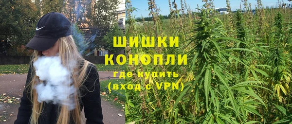 спайс Алзамай