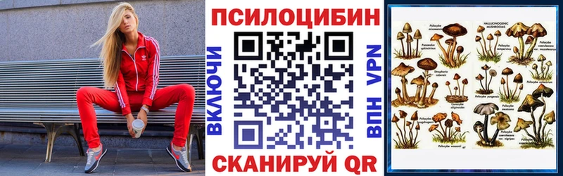 закладки Брянск Галлюциногенные грибы Magic Shrooms